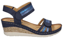 Load image into Gallery viewer, Westland-Savole