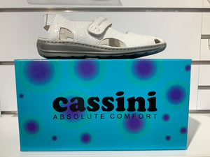 Cassini- Magician